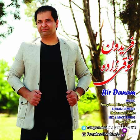 Fereydoon Shoghizadeh - Birdanam 2016
