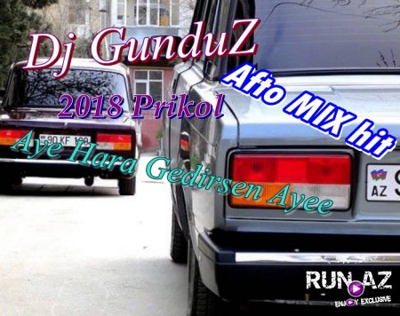 Dj GunduZ - Aye Hara Gedirsen Ayee (2018) Afto MIX hit Prikol YENI