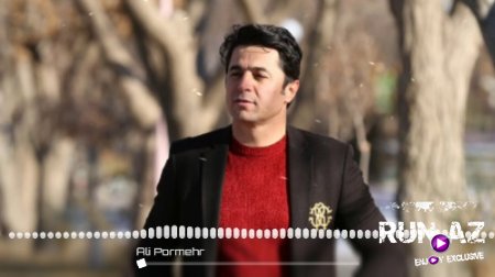 Ali Pormehr - Zalımın Qızı 2018 (Yeni)