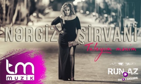 Nergiz Şirvani - Talehim Menim 2019 (Yeni)