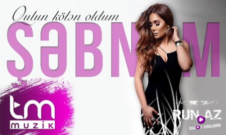 Şebnem Qehremanova - Qulun Kölen Oldum 2019 (Yeni)