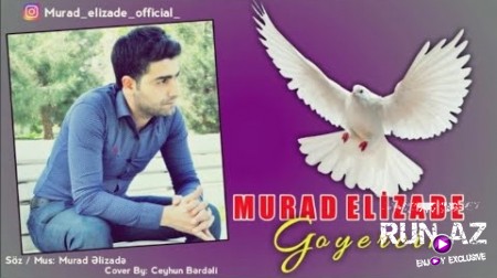 Murad Əlizadə - Göyərçin 2019 (Yeni)