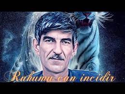 Bayram Kurdexanli - Ruhmu Can Incidir 2023 (Remix)