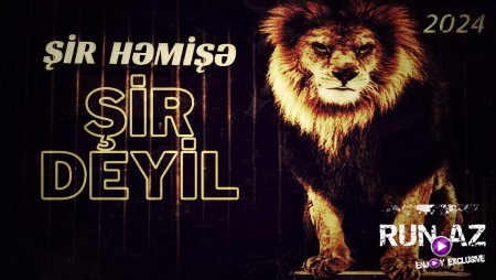 Orxan Dəniz - Şir Həmişə Şir Deyil 2024 Loqosuz