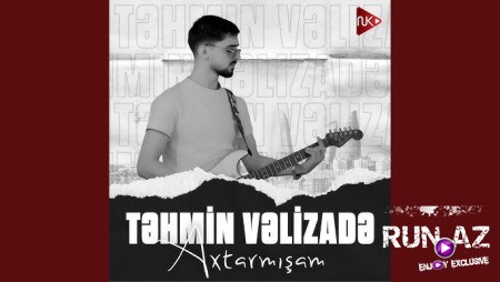 Təhmin Vəlizadə - Axtarmışam 2024