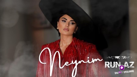 Şəbnəm Tovuzlu - Neynim 2024